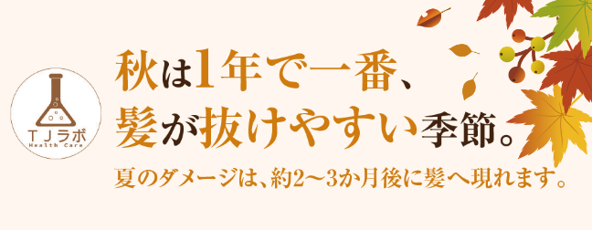 https://www.tj-tenkiyohou.co.jp/